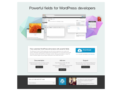 WordPress自定义域插件–Advanced Custom Fields汉化版