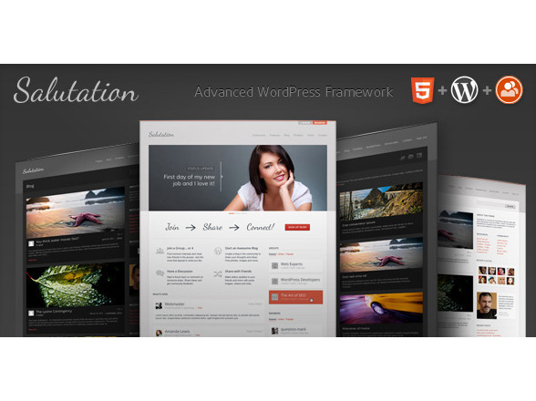 WP搭建SNS–集成论坛和社交功能的Salutation主题汉化版