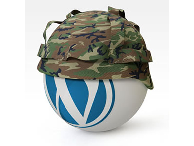 WordPress主题被添加恶意广告代码的现象及解决方案